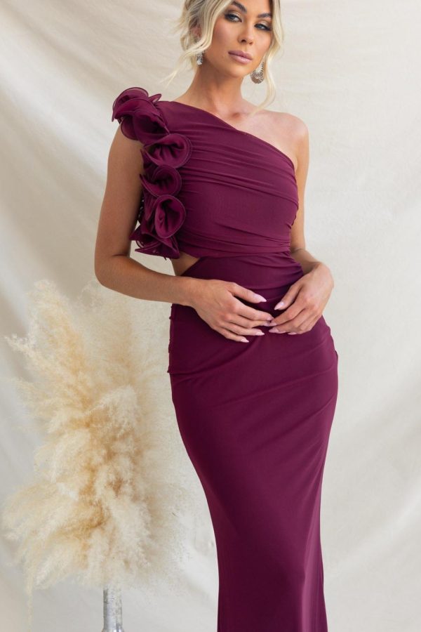 Toperth Burgundy Ruffle One-Shoulder Mesh Maxi Dress
