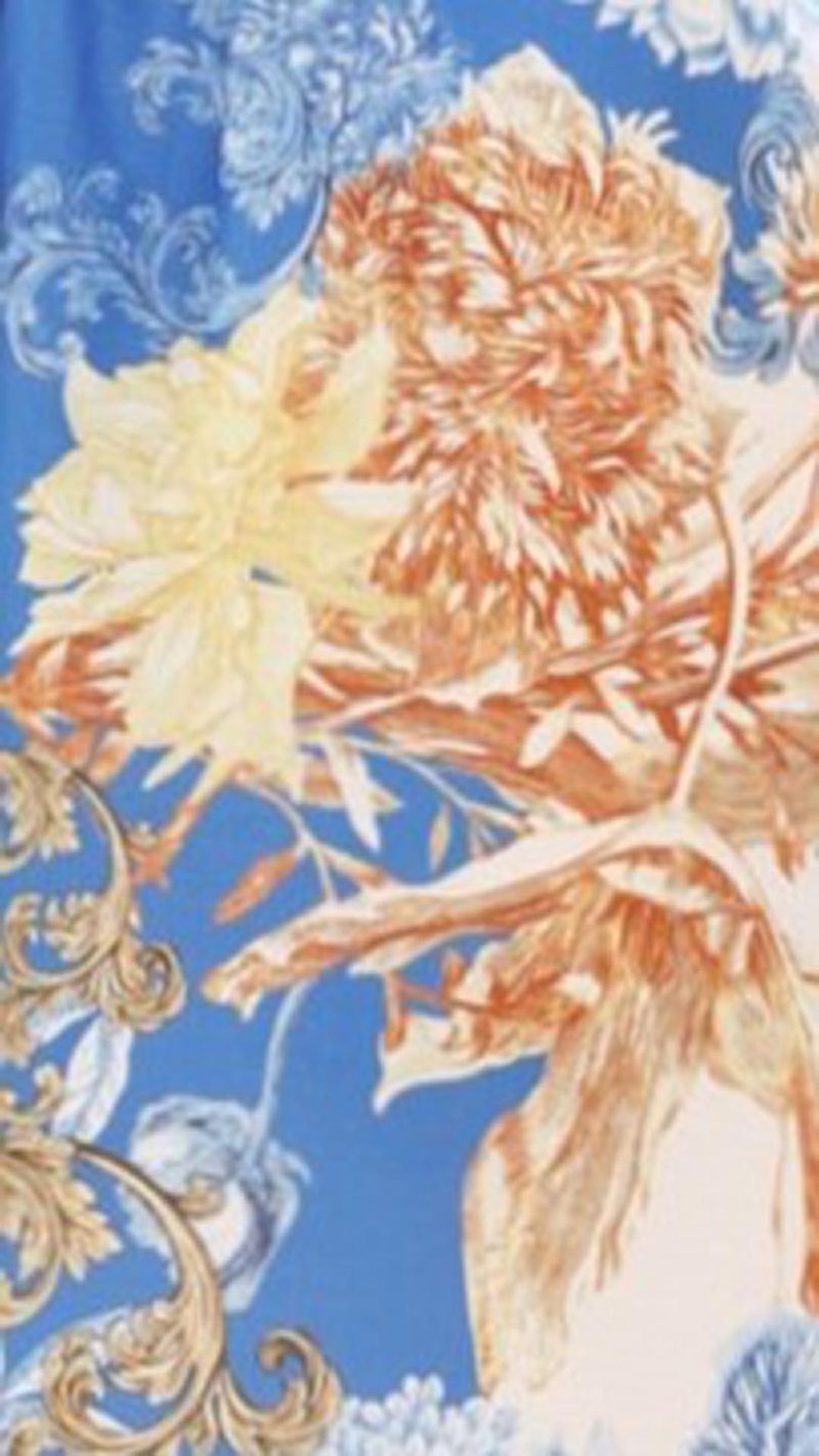 Blue/White Print Balloon Sleeve Border Trim Top